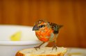 IMG_0570