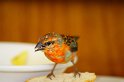 IMG_0571