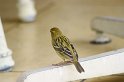 IMG_0580
