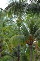 IMG_0591