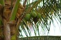 IMG_0593