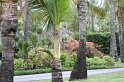 IMG_0597