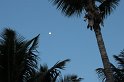 IMG_0669