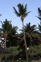 IMG_0672