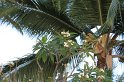 IMG_0689