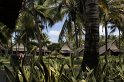 IMG_0775