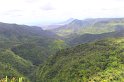 IMG_0878
