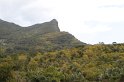 IMG_0910