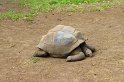 IMG_0952
