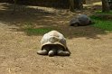IMG_0953