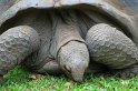 IMG_0959