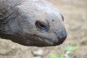 IMG_0977