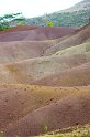 IMG_1004