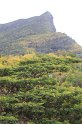IMG_1035