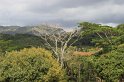 IMG_1036