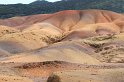 IMG_1038