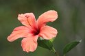 IMG_1039