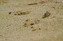 IMG_1096