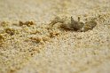 IMG_1098