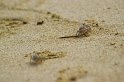 IMG_1099