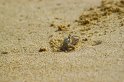 IMG_1101