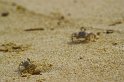 IMG_1102