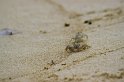 IMG_1105
