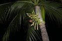 IMG_1145