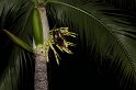 IMG_1146