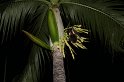 IMG_1147
