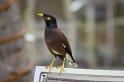 IMG_1175