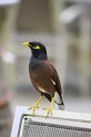 IMG_1176