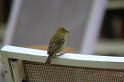 IMG_1191