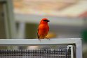 IMG_1206