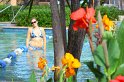 IMG_1323