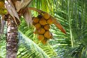 IMG_1338