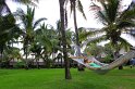 IMG_1353