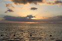 IMG_1364