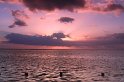 IMG_1365