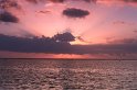 IMG_1370