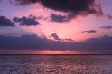 IMG_1380