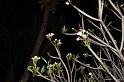 IMG_1450