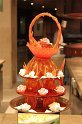 IMG_1461